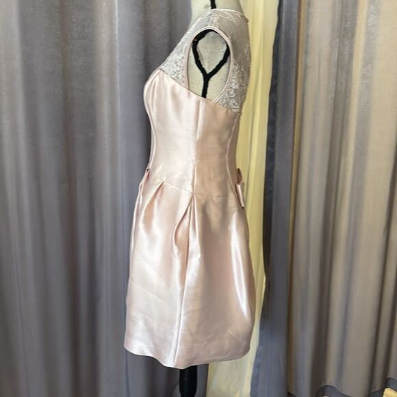 Vera Wang Elegant Lace Detail baby pink  Dress, US4 - Picture 6 of 13